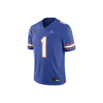 JORDAN Florida Gators Men's JORDAN Dri FIT College Game Jersey
