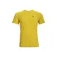 Gold Yellow