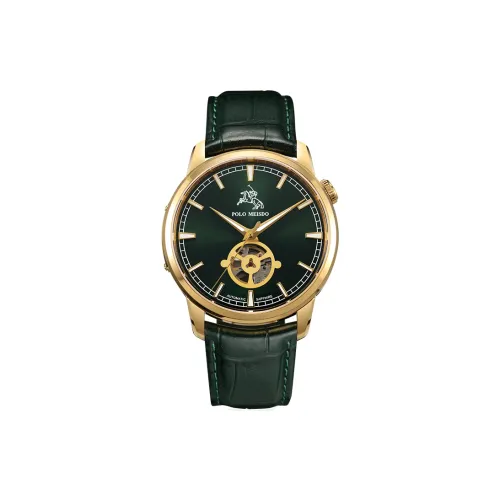 POLOMEISDO POLO Wrist Watch Automatic Mechanical Movement Cowhide Strap 41mm Green Dial Men's Watches