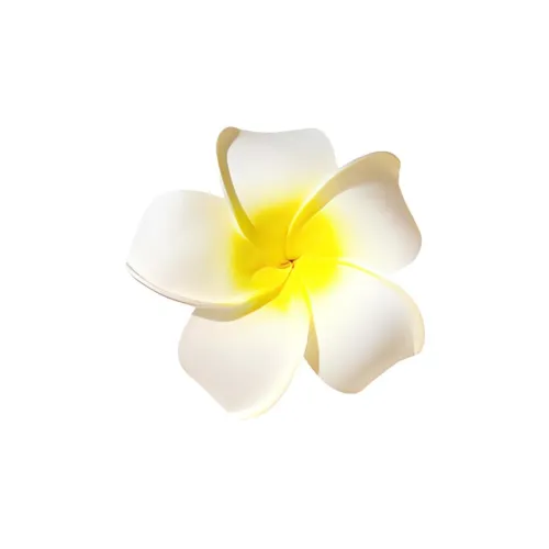 CARLHEIM Resin Hair Clips Women's