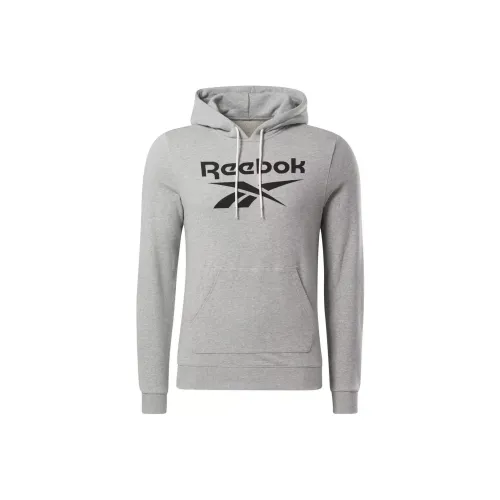 Reebok RI FT OTH BL HOODIE Sweatshirt Men's Gray