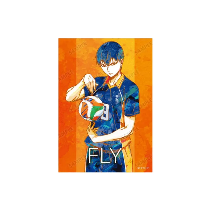 ARMA BIANCA Haikyuu!! Ani Art Watercolor, Second Edition, Shoyo Hinata Photo Cards-1