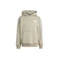 Silver Gray