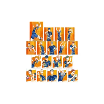 ARMA BIANCA Haikyuu!! Ani Art Watercolor, Second Edition, Shoyo Hinata Photo Cards