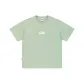 Fruit Green