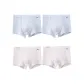 Gray Blue, Gray Blue, Apricot, Apricot