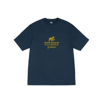 Stussy Sportswear Tee