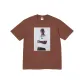 Brown/Brown