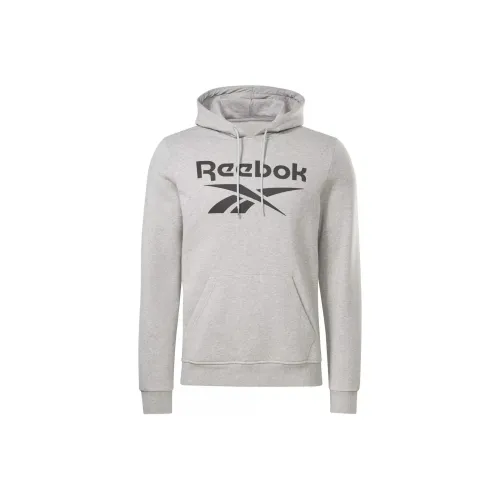 Reebok Sweatshirts Men Gray