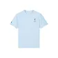 Light Gray Blue
