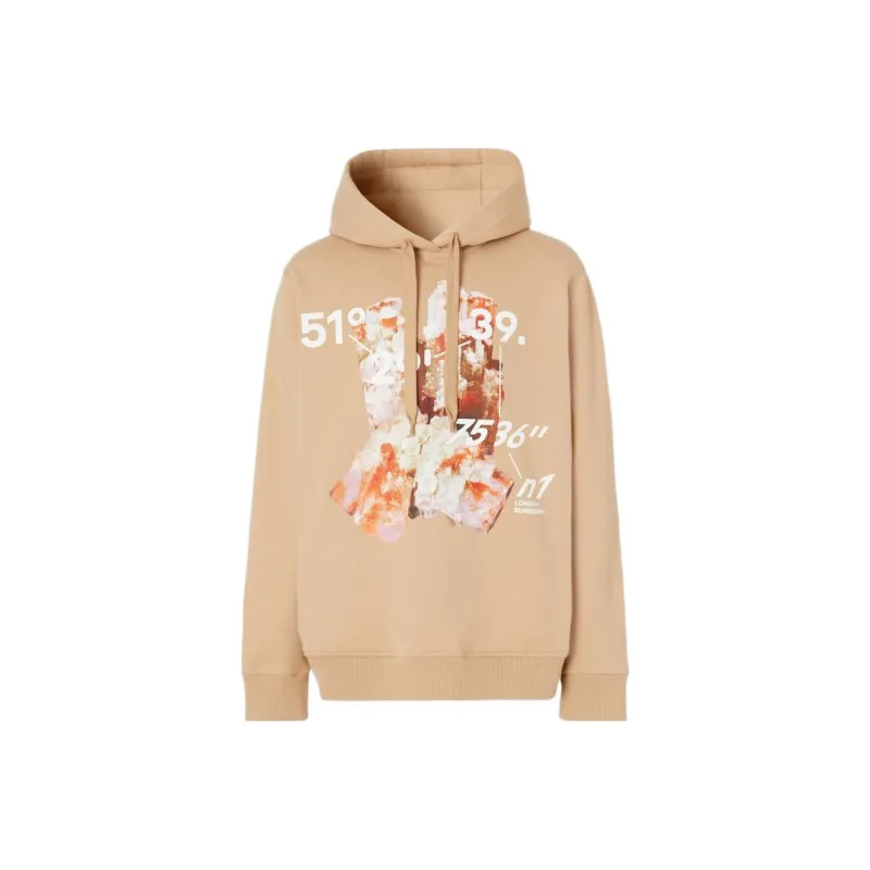 Burberry Crystal And Coordinates Hoodie-0