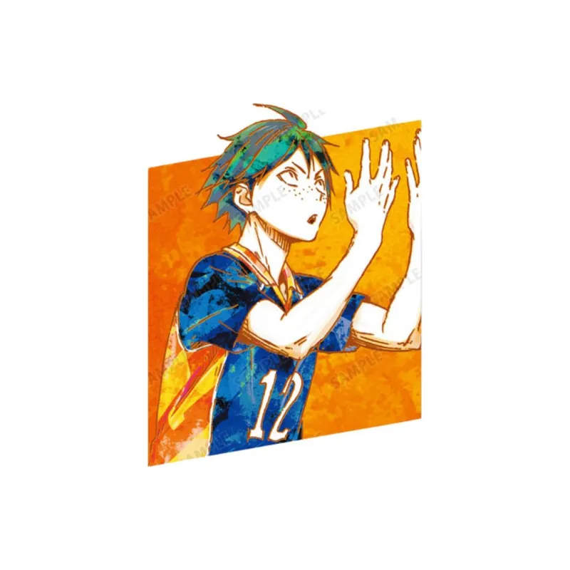 ARMA BIANCA Haikyuu!! Ani Art Watercolor, Second Edition, Shoyo Hinata Photo Cards-3