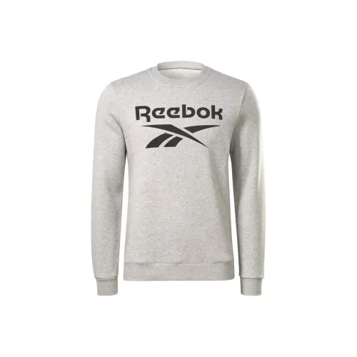 Reebok RI FLC BIG LOGO CREW Sweatshirt Men's Light Gray