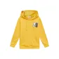 Gold Yellow
