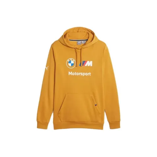 PUMA Bmw M Motorsport Men's Fleece Hoodie