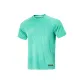 Mixed Color Parrot Green