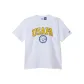 White/Yellow