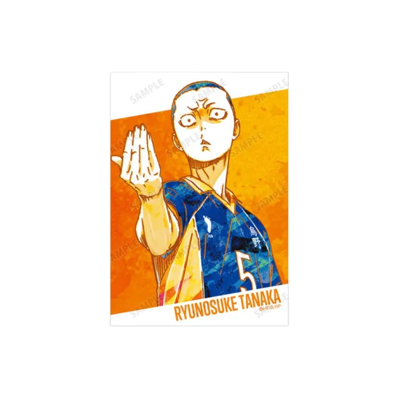 ARMA BIANCA Haikyuu!! Ani Art Watercolor, Second Edition, Shoyo Hinata Photo Cards-2