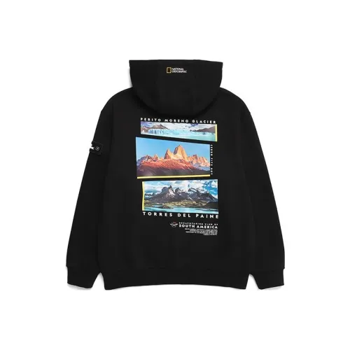 Hoodies & Sweatshirts