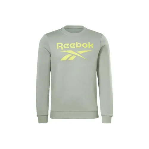 Reebok RI FLC BIG LOGO CREW Sweatshirt Men's Gray