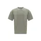 Light Gray Green