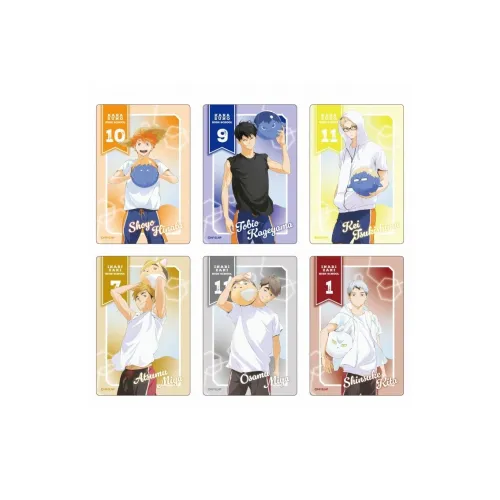 Animate Haikyuu!! Beach Volleyball Edition Photo Cards