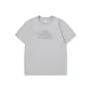 Slate Gray
