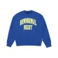 Royal Blue Color