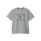 Gray/Gold