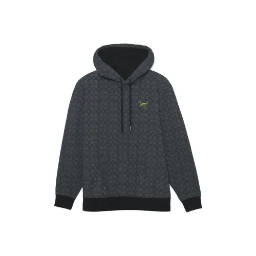 COACH FW22 Sweatshirt Men's Gray