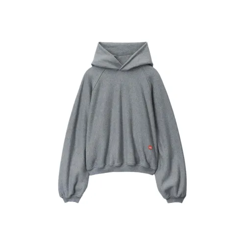 Alexander Wang SS24 Sweatshirt Unisex Gray