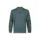 Peacock Green