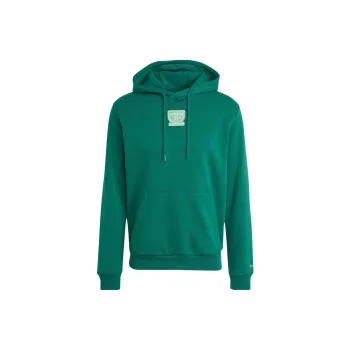 Adidas Originals Graphic Hoodie Sweatshirt Men's Preppy Green