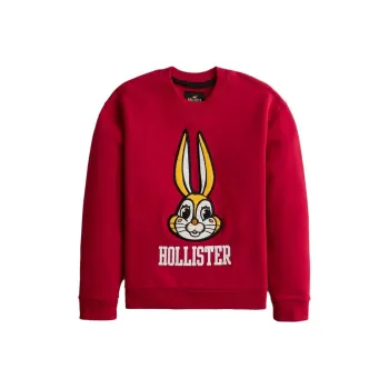 Hollister Sweatshirts Men Red