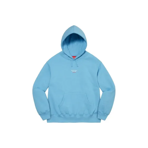 Supreme World Famous Micro Hooded Sweatshirt