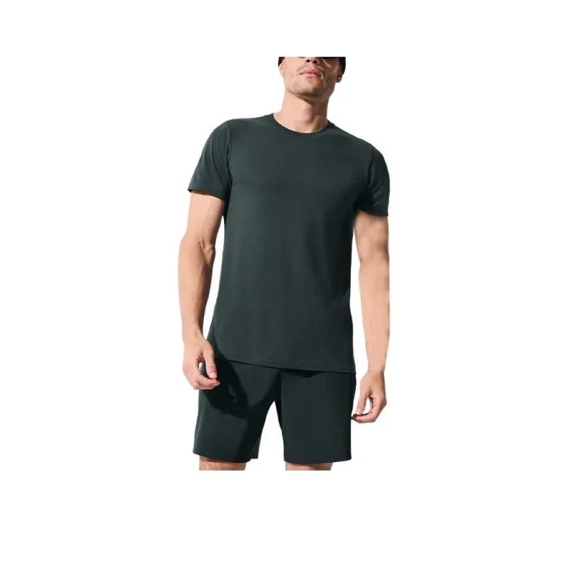 Alo Yoga x Triumph T Shirt Men's-19