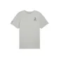 Light Gray Mixed Color
