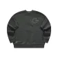 Asphalt Gray
