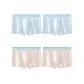 Light Blue, Light Blue, Light Apricot, Light Apricot