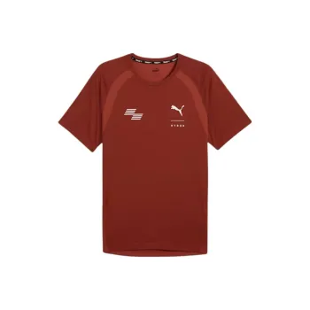 PUMA HYROX TriblendDRYCELL FW24 Training T-Shirt Men's Mars Red