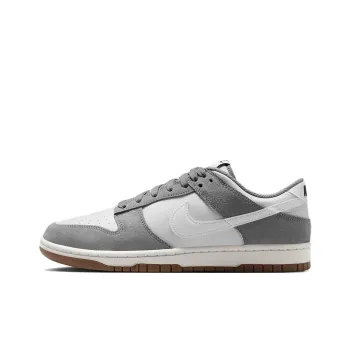 Nike Dunk Low Retro Se Cool Grey Photon Dust White