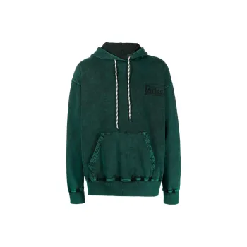 Aries Destroyed Temple Logo Printed Hoodie