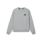 Silver Gray