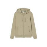 CB8/Camel