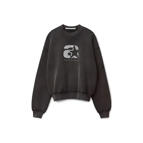 Alexander Wang Sweatshirts Unisex Charcoal Gray