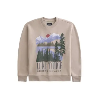 Hollister Sweatshirts Unisex Light Brown