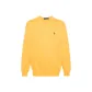 Amber Yellow