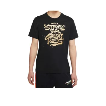 Nike Lebron Strive For Greatness T Shirt