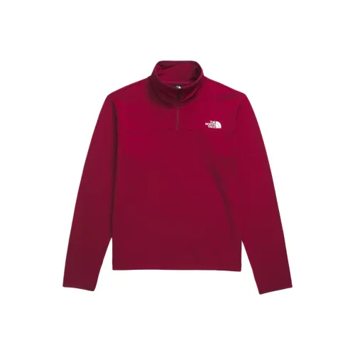 THE NORTH FACE T-Shirt Men's Beetroot
