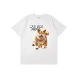 White-Shiba Inu